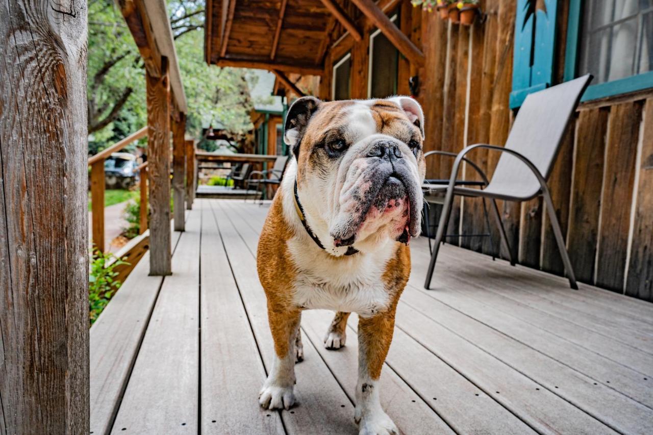 Colorado Bear Creek Cabins Evergreen Exterior foto